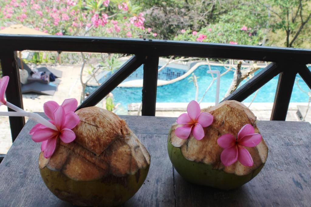 Lombok Coconut Hotel Mangsit Exteriör bild